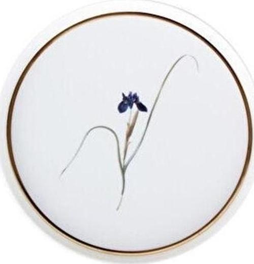 Botanical Desen3 Düz Tabak 21cm 04alm005044