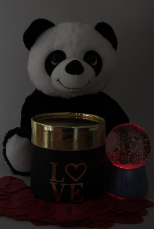Sevgiliye Kar Küre Panda Peluş 365 gün Aşk Sözler Love Yazılı Oval Kutu Set Hediye