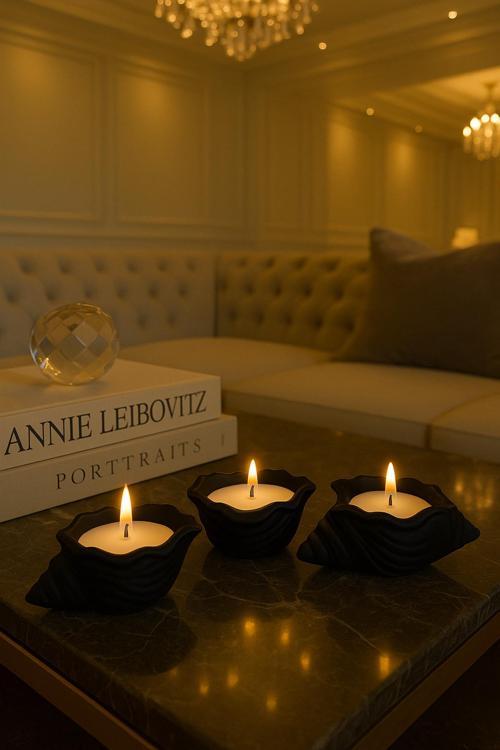 3'lü Zarif Deniz Kabuğu & Okyanus Kokulu Dekor Mum