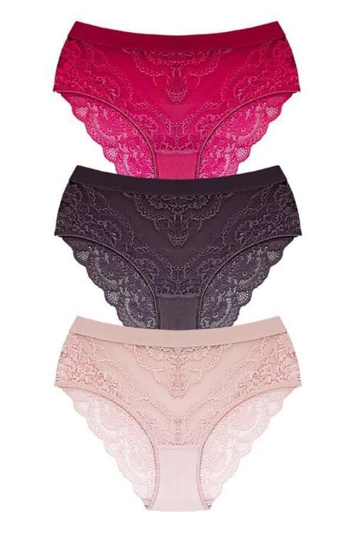Dantelli Arkası Transparan Büyük Beden Bikini Külot 3'lü Paket