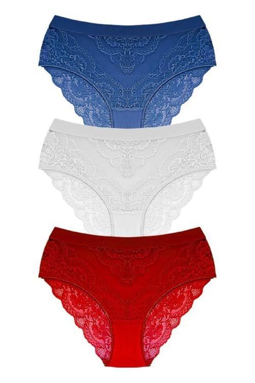 Dantelli Arkası Transparan Büyük Beden Bikini Külot 3'lü Paket-2