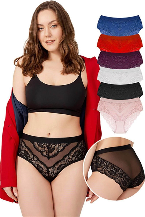Dantelli Arkası Transparan Büyük Beden Bikini Külot 6'lı Paket