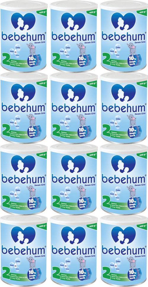 2 Numara Teneke Devam Sütü 6-9 Ay 400 gr x 12 Adet