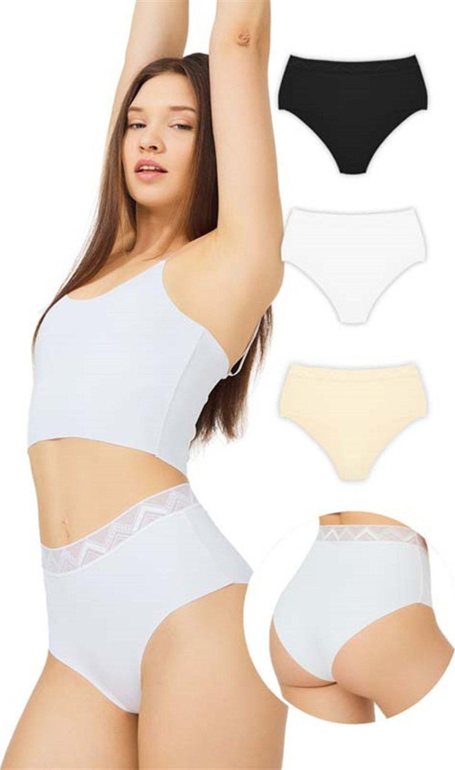 Basic Yüksek Bel Lazer Kesim Bikini Külot 3'lü Paket - 3