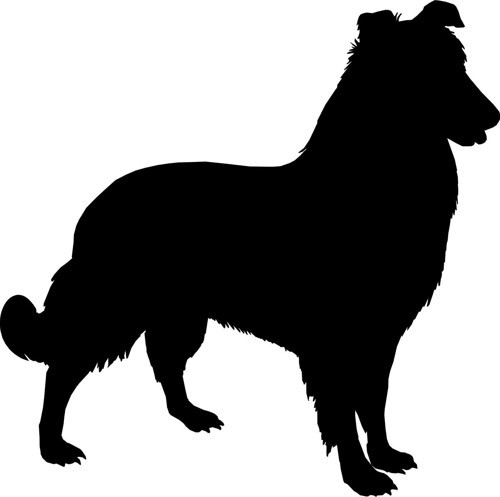 KÖPEK FOLYO STİCKER 50cm Uzunluk