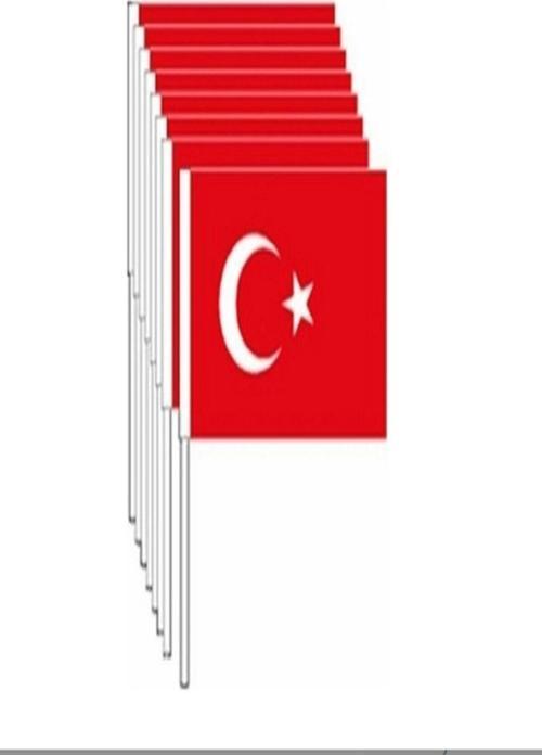 Eren Sopalı Bayrak 100'Lü Küçük 12.5 X 19