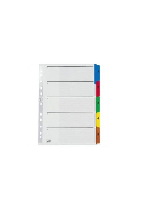 A5 5 Renk Ayraç 5522-K