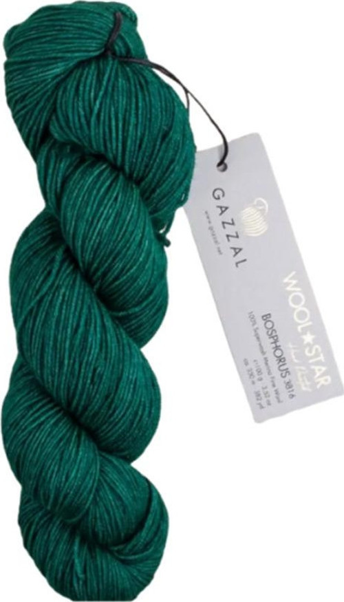 Wool Star %100 Superwash Merino Yünü 100 G / 350 M İnce El Örgü İpliği-3816