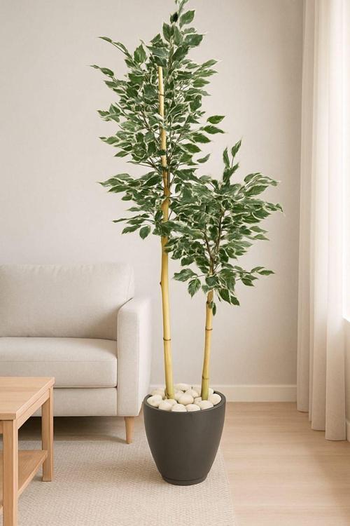 YAPAY AĞAÇ BENJAMİN KAR BEYAZ YAPRAKLI 150 Cm Yakamoz Saksı Ve Dolomit Taşı Dahildir