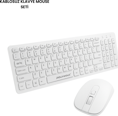 PG-8040 KLAVYE VE MOUSE SETİ