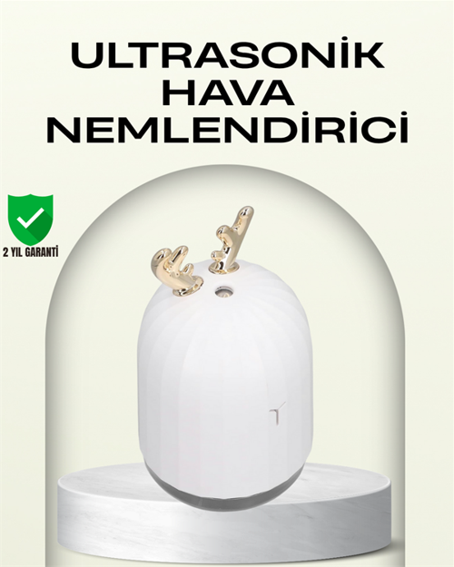 ABS+PP Malzemeli Taşınabilir 220?ml USB Mist Nemlendirici