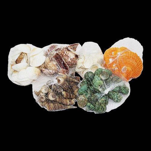 Fileli Midye Deniz Kabuk Vazo Taşı Renkli Mix