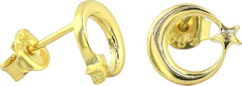 14 Ayar Altın Ayyıldız Küpe - 0184125