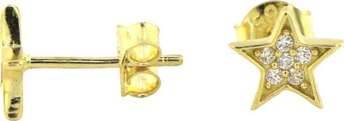 14 Ayar Altın Yıldızlı Küpe - 0184163