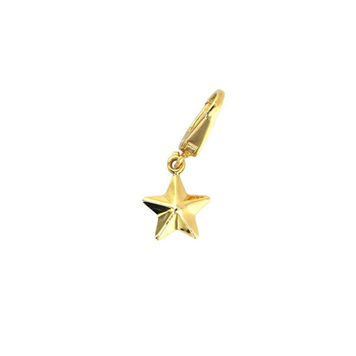 14 Ayar Altın Yıldızlı Kolye Ucu - 0193279