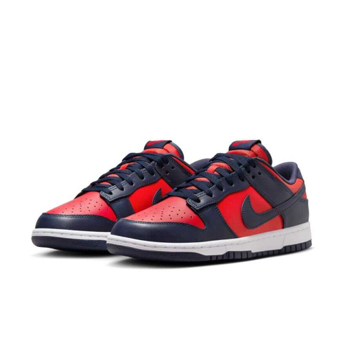 Dunk Low Retro DV0833-601