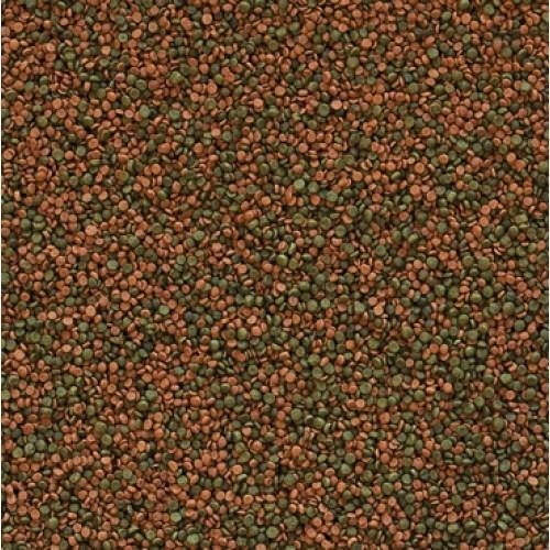 Cichlid Gran 250 gr Granül Balık Yemi