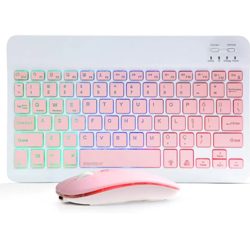 ZR955 Pembe Rgb Km Set