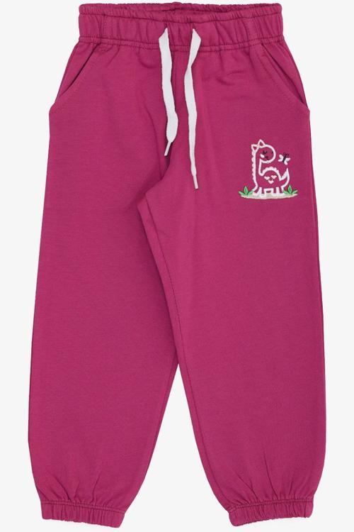 Kız Çocuk Alt Sevimli Dinozor & Kelebek Nakış Baskılı 1-4 Yaş, Eflatun