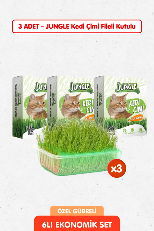 3 Adet Özel Gübreli %100 Doğal Kedi Çimi Fileli Ve Kutulu Tüy Yumağı Önleyici