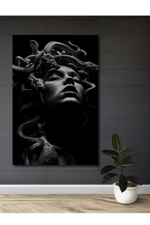 Medusa Yılanları Siyah Beyaz Dekoratif Ahşap Mdf Dikdörtgen Ev,İşyeri Duvar Tablo