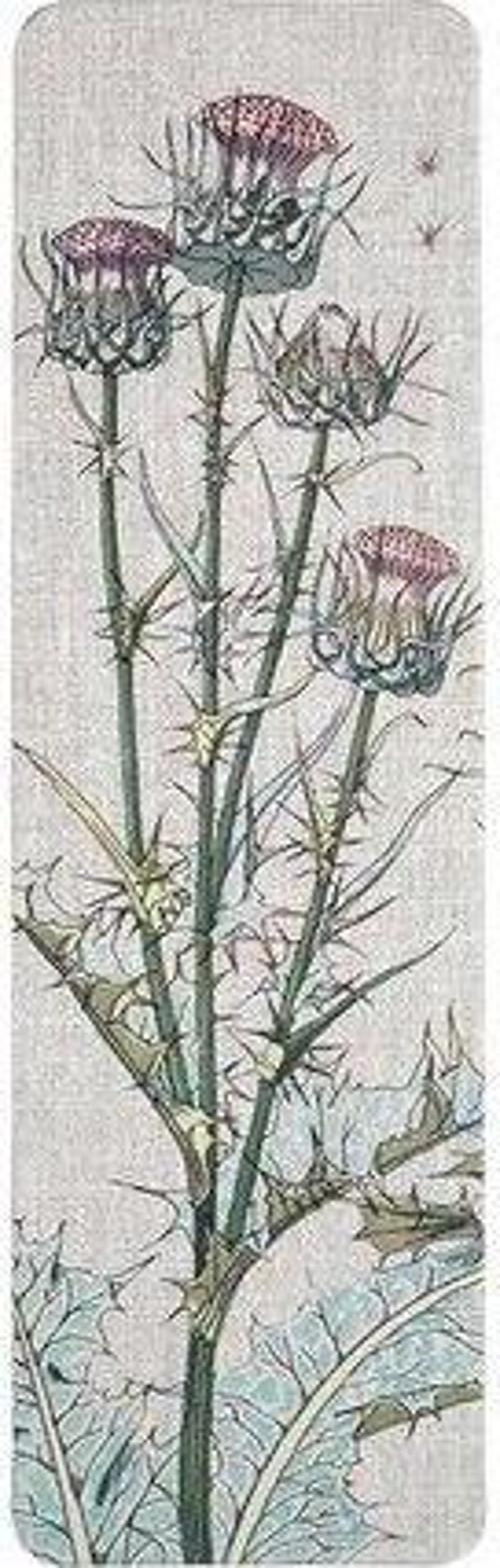 Muusmarks Flower thistle 4,5x15 Ayraç