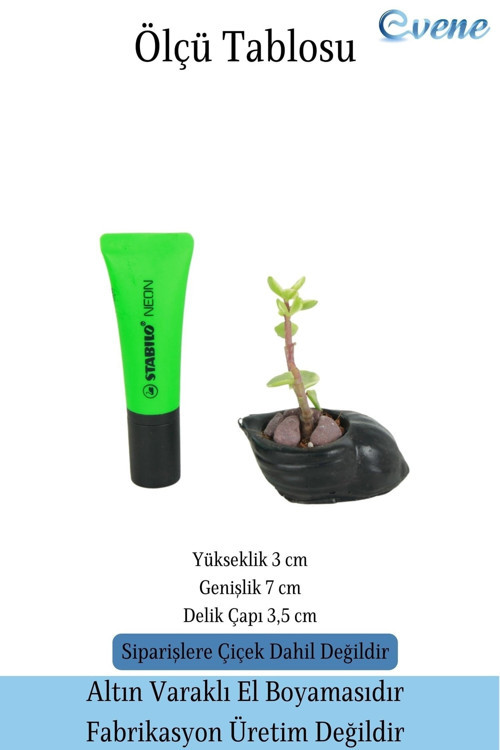 Mini Çiçek Saksı Küçük Sukulent Siyah Kaktüs Saksısı Mini Deniz Salyangozu Model