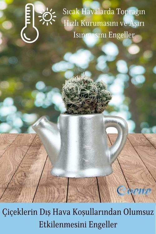 Mini Çiçek Saksı Küçük Sukulent Gümüş Kaktüs Saksısı Mini Çaydanlık Model