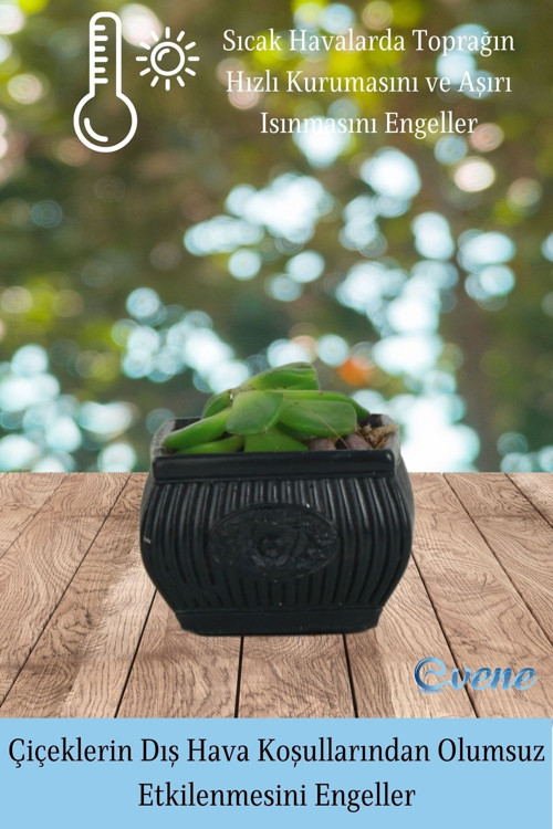 Mini Çiçek Saksı Küçük Sukulent Gümüş Kaktüs Saksısı Mini Çiçekli Model