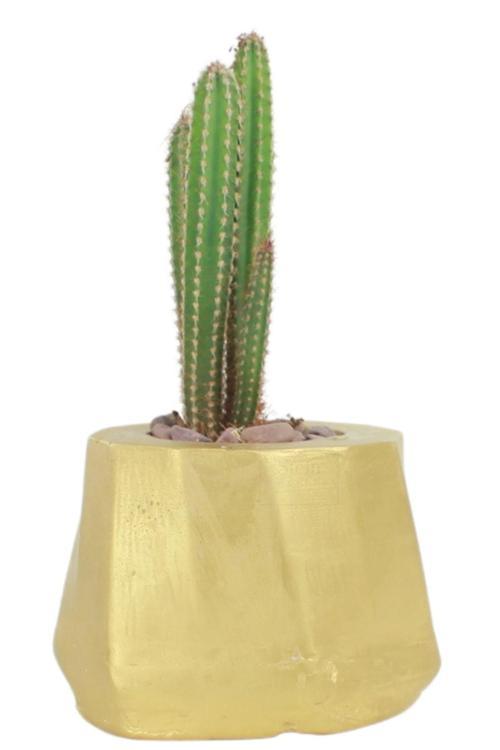 Çiçek Saksısı Dekoratif Kaktüs Saksı 1 Adet Altın Renk Uygulamalı Kalın Çizgili Model