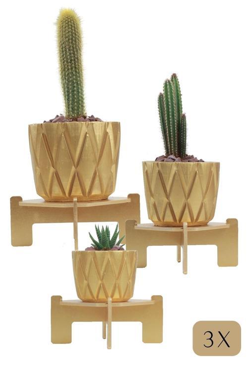 Ayaklı Saksı Ahşap Büyük Boy 3 Adet Altın Renk Uygulamalı Baklava Model