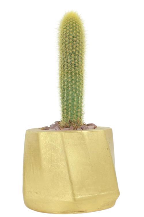 Çiçek Saksısı Büyük Boy 1 Adet Altın Renk Uygulamalı Kalın Çizgili Model