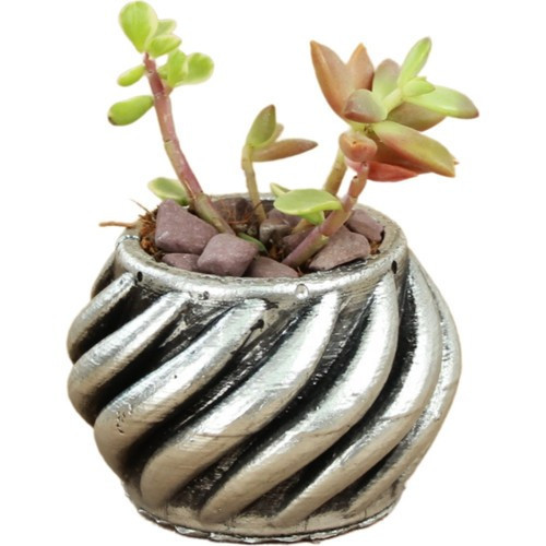 Dekoratif Saksı Minik Kaktüs Saksısı Kalın Çizgili Spiral Model