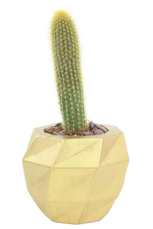 Çiçek Saksısı Büyük Boy 1 Adet Altın Renk Uygulamalı Dönen Poly Model