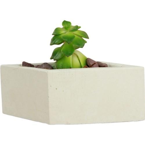 Dekoratif Saksı Minik Kaktüs Saksısı Dörtgen Model