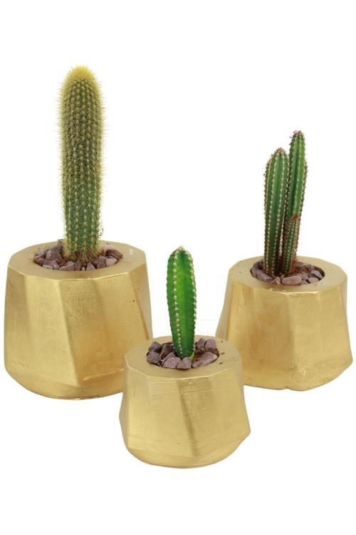 Çiçek Saksısı Büyük Boy 3 Adet Altın Renk Uygulamalı Kalın Çizgi Model