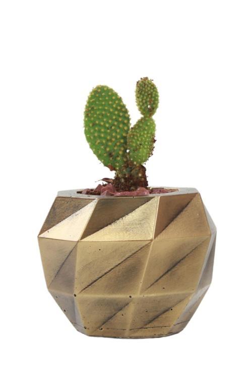 Çiçek Saksısı Dekoratif Kaktüs Saksı 1 Adet Gümüş Renk Eskitme Uygulamalı Dönen Poly Model