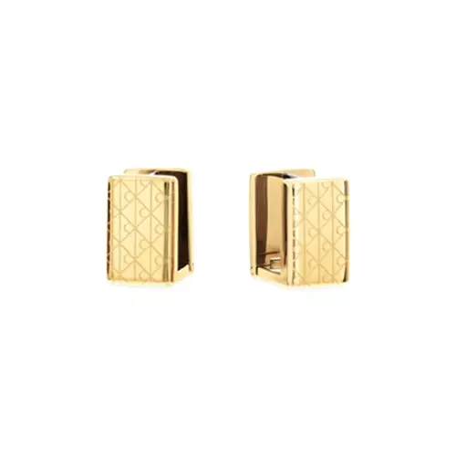 CKJ35000890 Kadın Küpe