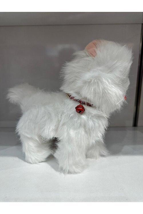 Tasmalı Dil Çıkartan Sesli Hareketli Ses Tekrarı Yapan Sevimli Kedi Büyük Boy