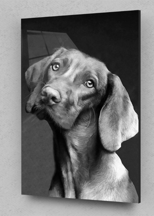 Masum Köpek Cam Tablo, Köpek Tabloları, Doğa Tabloları, Duvar Dekor, Büyük Tablo, Cam Duvar Tablo