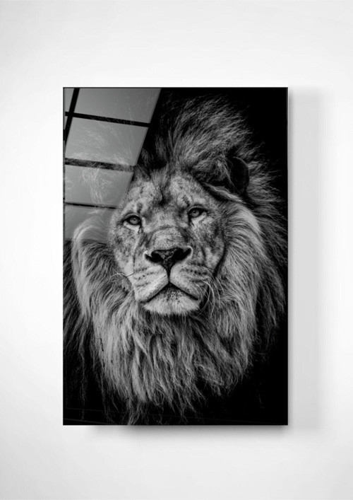 Aslan Cam Tablo