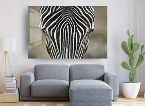 Zebra Cam Tablo, Zebra Tablo, Doğa Tabloları, Duvar Dekor, Büyük Tablo, Cam Duvar Tablo