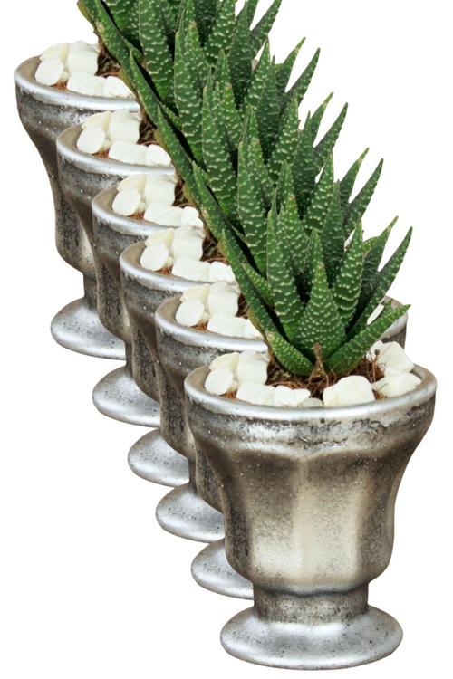 El Yapımı Saksı Seti Siyah Dekoratif 6 Adet Saksı Küçük Boy Model 38