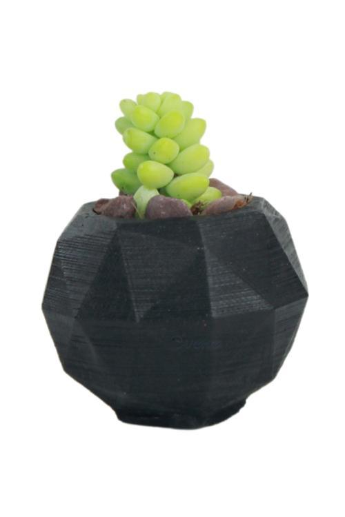 Mini Çiçek Saksısı Küçük Sukulent Siyah Kaktüs Saksı Poly Silindir Model