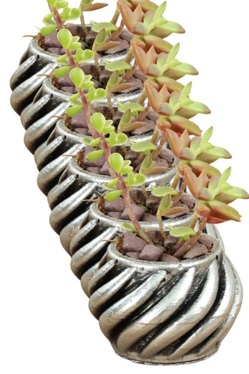 El Yapımı Saksı Seti Gümüş Dekoratif 6 Adet Saksı Küçük Boy Model 4