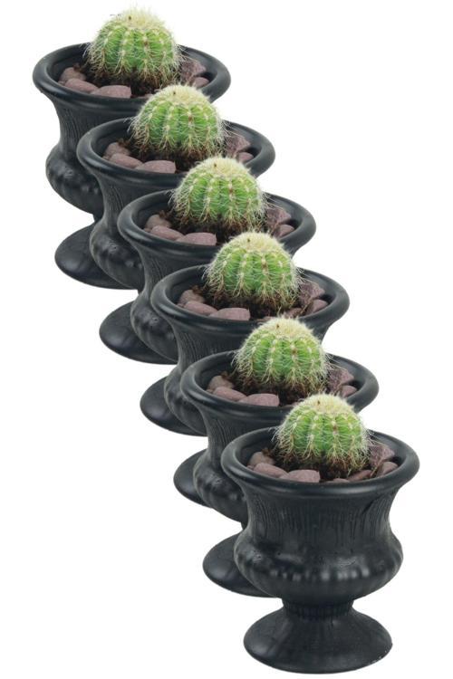 El Yapımı Saksı Seti Gümüş Dekoratif 6 Adet Saksı Küçük Boy Model 33