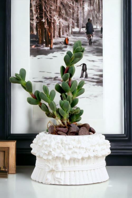 Premium Saksı Minyatür Dekoratif Kaktüs Sukulent Saksısı Model 3