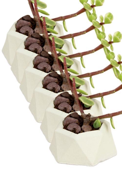 El Yapımı Saksı Seti Siyah Dekoratif 6 Adet Saksı Küçük Boy Model 27