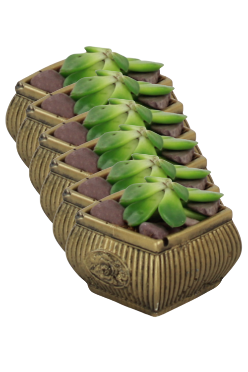 El Yapımı Saksı Seti Altın Dekoratif 6 Adet Saksı Küçük Boy Model 22