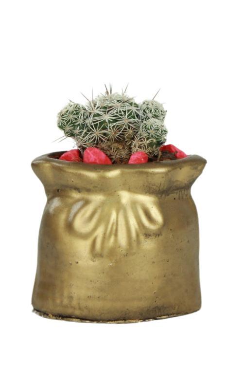 Mini Çiçek Saksısı Küçük Sukulent Siyah Kaktüs Saksı Kese Model